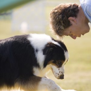 VetClear Ear & Eye Care